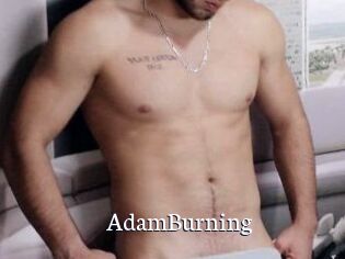 AdamBurning