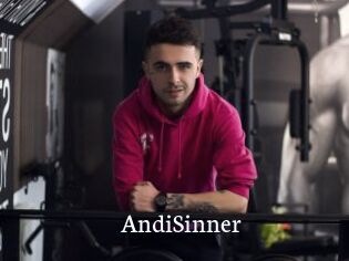 AndiSinner