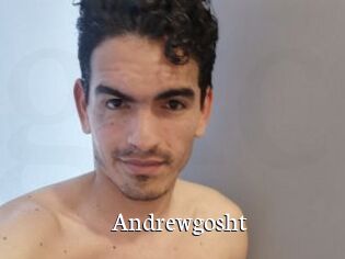 Andrewgosht