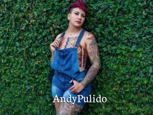 AndyPulido