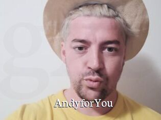 AndyforYou