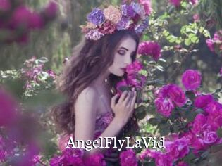 AngelFlyLaVid