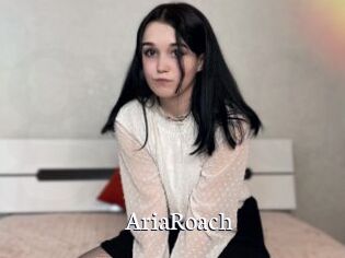 AriaRoach