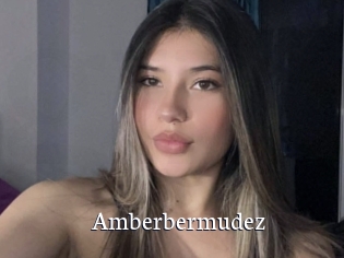 Amberbermudez