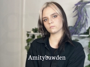 Amitybawden