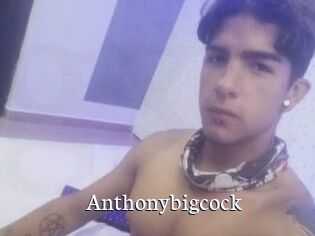 Anthonybigcock