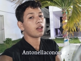 Antonellaconors