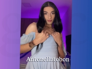 Antonellatobon