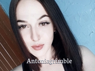 Antoniagrimble