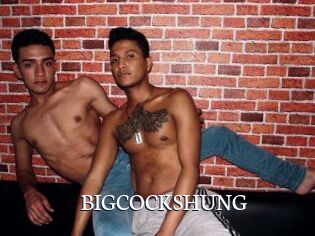 BIG_COCKS_HUNG