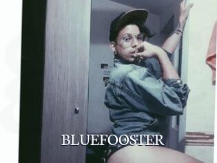 BLUEFOOSTER