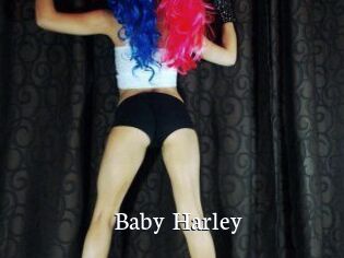 Baby_Harley