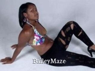 Bailey_Maze