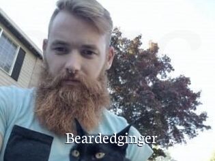 Beardedginger