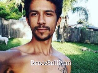 Bruce_Sullivan