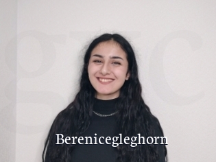 Berenicegleghorn