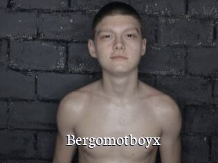 Bergomotboyx