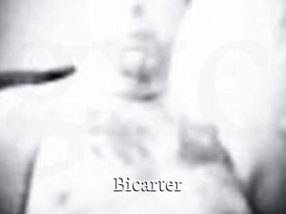 Bicarter