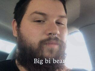 Big_bi_bear