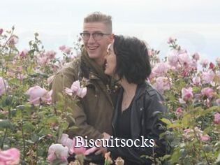 Biscuitsocks