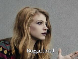 Boggartbird