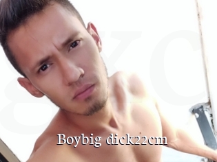 Boybig_dick22cm