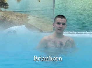 Brianhorn