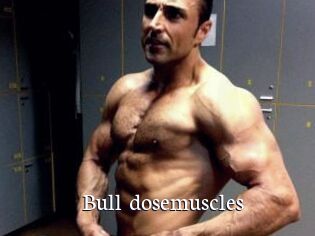 Bull_dosemuscles