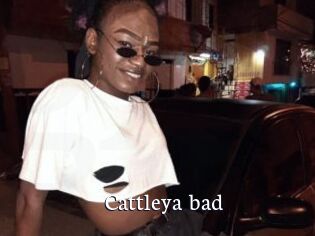 Cattleya_bad