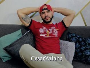 CesarZalaba