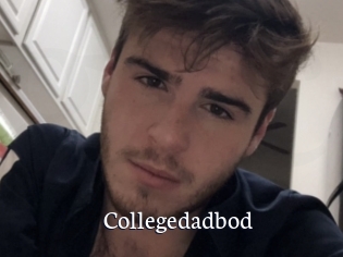 Collegedadbod