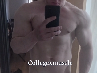 Collegexmuscle