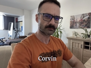 Corvin