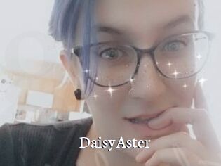 DaisyAster