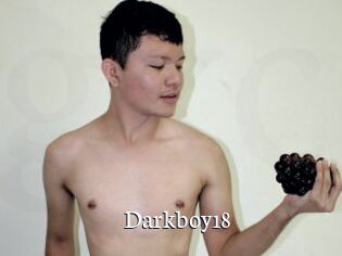 Darkboy18