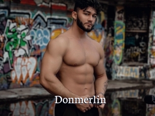 Donmerlin