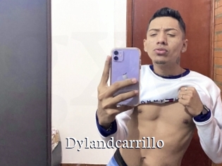 Dylandcarrillo