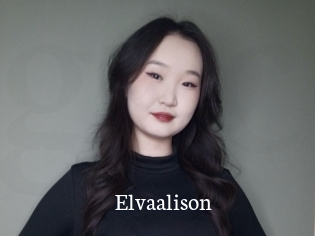 Elvaalison