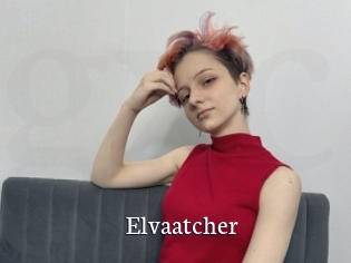 Elvaatcher