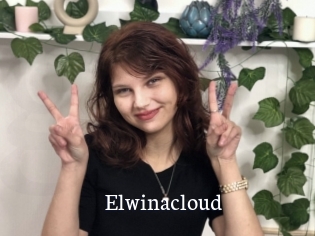 Elwinacloud