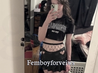 Femboyforveiws