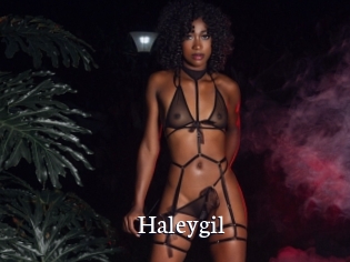 Haleygil