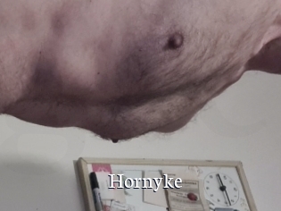 Hornyke