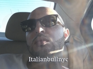 Italianbullnyc