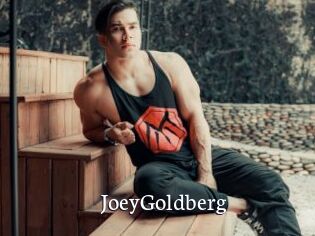 JoeyGoldberg