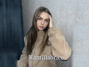 Kamillabrice