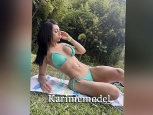 Karimemodel