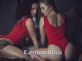 Katrinandalisia