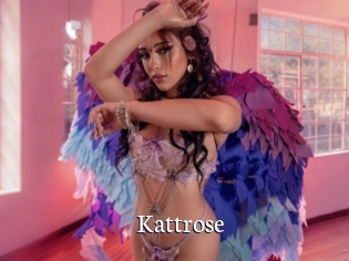 Kattrose