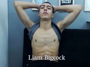 Liam_Bigcock